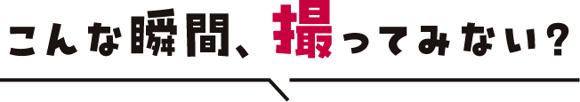 こんな一瞬、撮ってみない？