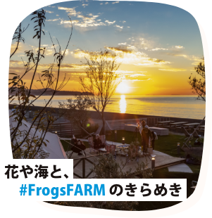 花や海と、#FrogsFARM のきらめき